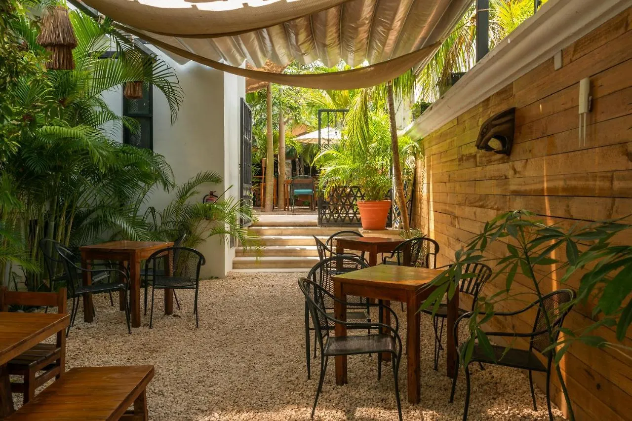 Nomads Enigmatic Hotel & Restaurant Bar Cancun