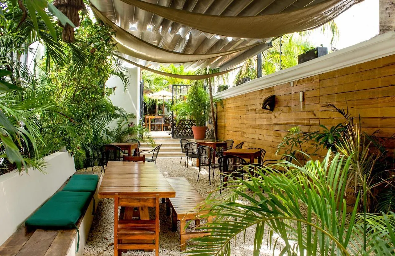 Nomads Enigmatic Hotel & Restaurant Bar Cancún
